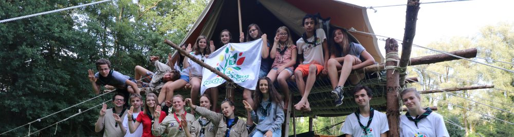 Les Scouts Verts espérantophones campent, éclairent, construisent avec du bois, à Baugé (Maine-et-Loire), 2-9 août 2020